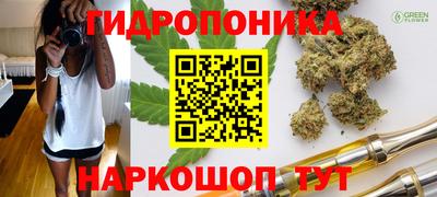 стаф Бийск