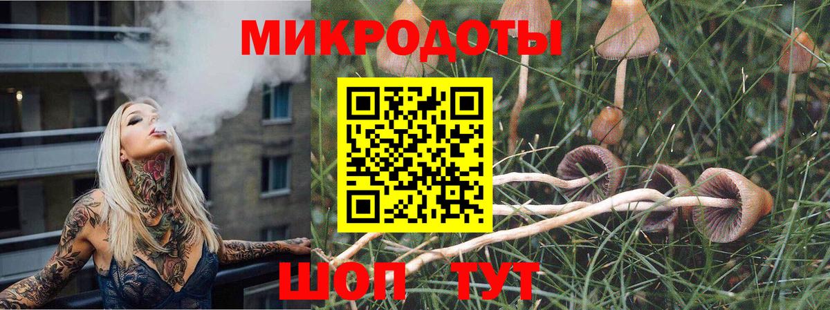 Галлюциногенные грибы MAGIC MUSHROOMS  Псилоцибиновые грибы Psilocybine cubensis  Бахчисарай  Вход с VPN 