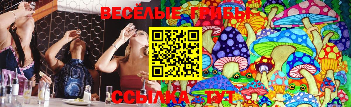 Псилоцибиновые грибы прущие грибы Бахчисарай
